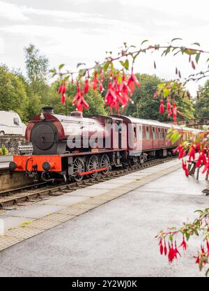 W Bagnall 0-6-0T: 68012 'The Duke', eine erhaltene Dampflokomotive, die auf der Ecclesbourne Valley Railway betrieben wird. Stockfoto