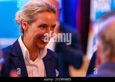 11. September 2024, Brandenburg, Forst (Lausitz): Alice Weidel, Ko-Vorsitzende der AfD, kommt zu einer Wahlkundgebung. Die Wahl zum brandenburgischen landtag findet am 22. September 2024 statt. Foto: Frank Hammerschmidt/dpa Stockfoto