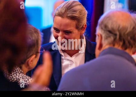 11. September 2024, Brandenburg, Forst (Lausitz): Alice Weidel, Ko-Vorsitzende der AfD, kommt zu einer Wahlkundgebung. Die Wahl zum brandenburgischen landtag findet am 22. September 2024 statt. Foto: Frank Hammerschmidt/dpa Stockfoto