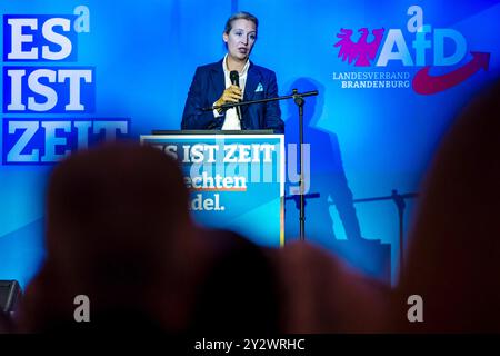 11. September 2024, Brandenburg, Forst (Lausitz): Alice Weidel, Ko-Vorsitzende der AfD Deutschland, spricht bei einer Wahlkampfveranstaltung in Brandenburg. Die Wahl zum brandenburgischen landtag findet am 22. September 2024 statt. Foto: Frank Hammerschmidt/dpa Stockfoto