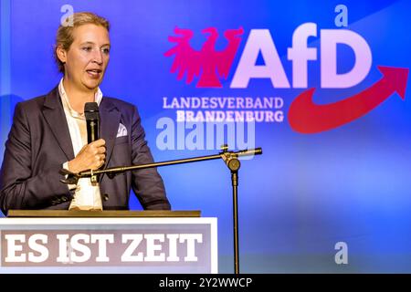 11. September 2024, Brandenburg, Forst (Lausitz): Alice Weidel, Ko-Vorsitzende der AfD Deutschland, spricht bei einer Wahlkampfveranstaltung in Brandenburg. Die Wahl zum brandenburgischen landtag findet am 22. September 2024 statt. Foto: Frank Hammerschmidt/dpa Stockfoto