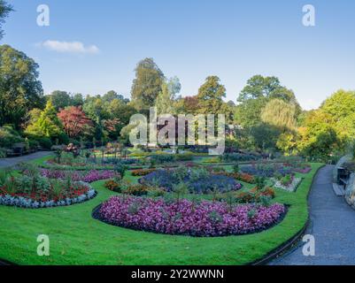 Wunderschöne Blumenausstellung in einem öffentlichen Garten im Dingle Park in Shrewsbury in Shropshire, Großbritannien Stockfoto