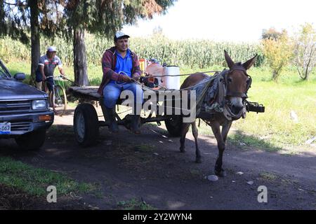 Ein Mann, der einen Eselkarren auf einer Landstraße fährt, mit einem anderen Mann, der in Calpan, Puebla, Fahrrad fährt Stockfoto