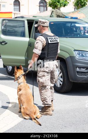 Vertikales Foto eines Soldaten der spanischen Armee mit seinem ausgebildeten K9-Hund, der den Hund mit einer kurzen Leine festhält. Stockfoto