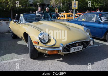 Vorderansicht des klassischen Britishh Cabriolet-Sportwagens Jaguar E-Type Serie 3 ab 1971-1974 in cremegelber Farbe. Es hat eine lange Kapuze Stockfoto