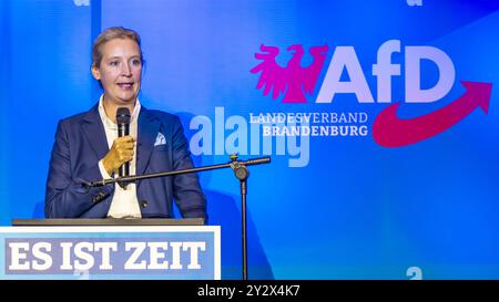 11. September 2024, Brandenburg, Forst (Lausitz): Alice Weidel, Ko-Vorsitzende der AfD Deutschland, spricht bei einer Wahlkampfveranstaltung in Brandenburg. Die Wahl zum brandenburgischen landtag findet am 22. September 2024 statt. Foto: Frank Hammerschmidt/dpa Stockfoto