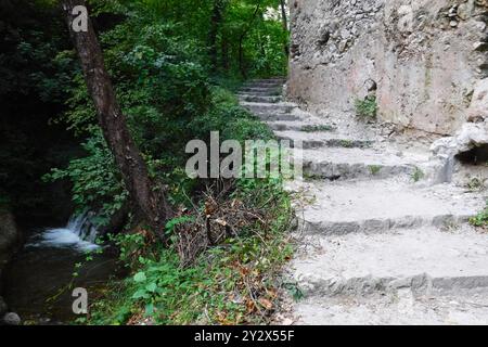 Steinstufen, die einen bewaldeten Pfad hinauf führen, mit einem kleinen Bach, der neben ihnen fließt. Stockfoto