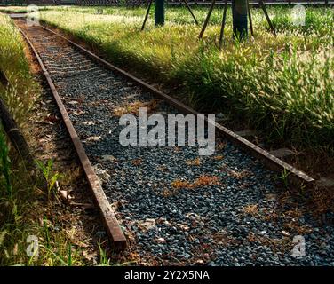 Eine verlassene Eisenbahnstrecke mit Gras und umgeben von Grün in einer natürlichen Umgebung. Stockfoto
