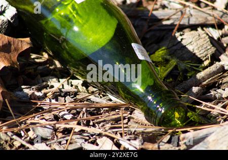 Grüne Glasflasche transparent links auf Bodenstreu Stockfoto