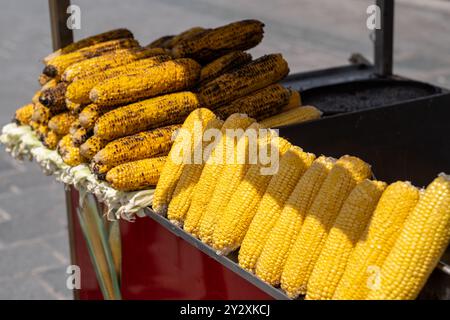 Frisch gegrillter Mais auf dem Cob, ordentlich in einem belebten Straßenverkäuferstand angeordnet, bietet Passanten einen köstlichen Snack Stockfoto