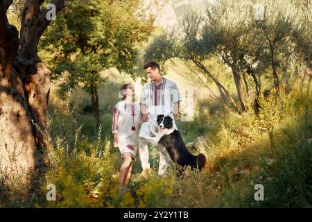 Eine Familie macht einen Ausflug im Park mit ihrem verspielten Border Collie, umgeben von Bäumen und Sonnenlicht. Stockfoto