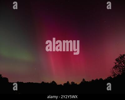 Eine lebendige Darstellung der Nordlichter in Rot- und Grüntönen am Sternenhimmel über einer Waldsilhouette. Stockfoto