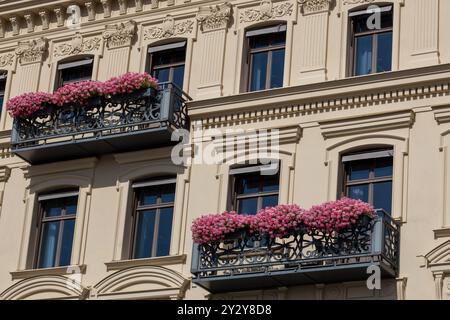 Eine wunderschöne Gebäudefassade mit zwei Balkonen, die mit leuchtenden rosa Blumen geschmückt sind. Die Architektur zeigt komplizierte Details und große Fenster, Stockfoto