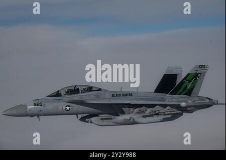 Die US Navy EA-18G Growler von der Electronic Attack Squadron 135 von der Naval Air Station Whidbey Island, Washington fliegt über dem Joint Pacific Alaska RAN Stockfoto