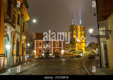 Weihnachtsstadt - Abendblick auf das Denkmal des Heiligen Johannes von Nepomuk und die Kathedrale des Heiligen Johannes des Täufers, Breslau, Polen Stockfoto