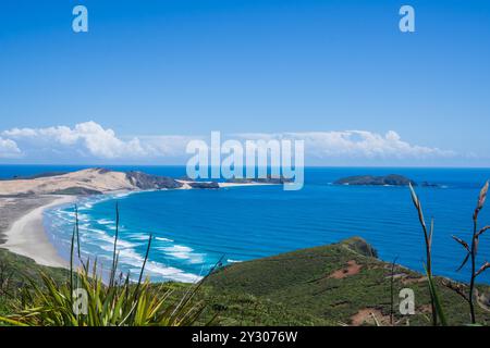 Aus der Vogelperspektive auf einen geschwungenen Strand, der von grünen Hügeln und Felsen geformt ist, mit niedriger Wolkendecke, Dünen und einem tiefblauen Ozean. Stockfoto