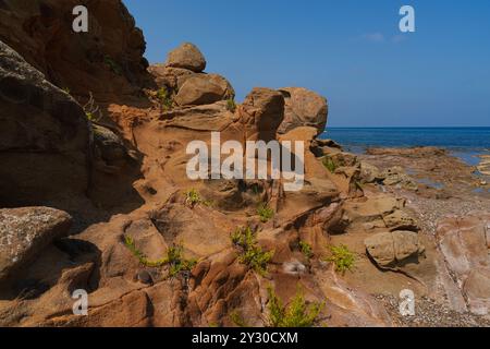 Rote Sandsteinklippe am Meer mit Vegetation und klarem Himmel Stockfoto