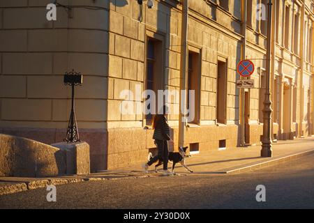 Eine Frau geht mit ihrem Border Collie-Hund auf einer ruhigen Stadtstraße, mit frühmorgendlichem Licht. Die Szene spiegelt den ruhigen Start in einen Tag in der Stadt wider Stockfoto