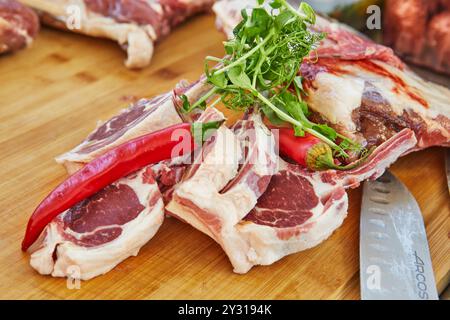 Lammkoteletts auf einem Holzbrett mit frischen roten Chili und Kräutern, bereit für die Zubereitung. Stockfoto