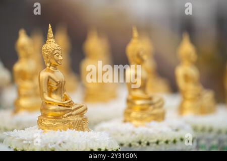 Goldene Buddha-Statue Meditation sitzend in Lotus mit verschwommenem goldenem Buddha-Hintergrund. Buddha in Meditationshaltung im Sitzen mit beiden Händen Stockfoto