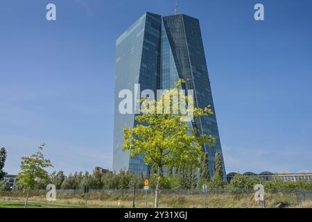 Europäische Zentralbank EZB, Hauptgebäude, Zentrale, Sonnemannstraße, Ostend, Frankfurt am Main, Hessen, Deutschland Stockfoto
