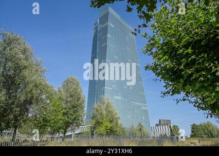 Europäische Zentralbank EZB, Hauptgebäude, Zentrale, Sonnemannstraße, Ostend, Frankfurt am Main, Hessen, Deutschland Stockfoto