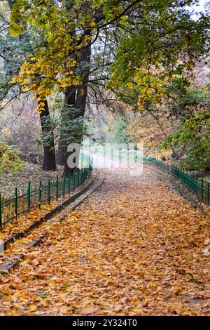 Ein friedlicher Parkweg mit goldenen Herbstblättern, umgeben von Bäumen mit grünem und gelbem Laub, schafft eine ruhige Herbstszene. Stockfoto