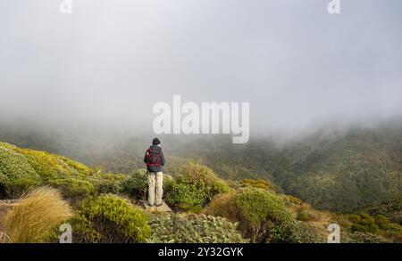 Backpacker genießt den Blick auf die Berge in den Wolken. Pouakai-Rundkurs. Egmont Nationalpark. Neuseeland. Stockfoto