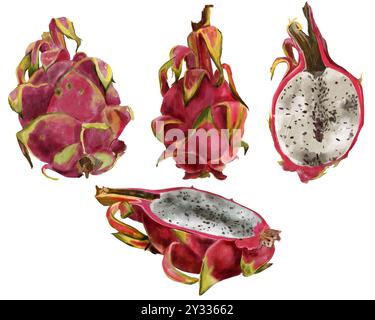 Set pitaya, rosa Drachenfrucht. Exotische tropische reife Früchte, Scheiben und ganze, handgezeichnet mit Aquarell in realistischem Stil. Exotische Früchte für Packag Stockfoto