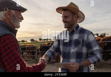 Zwei Bauern, jung und reif, schütteln sich die Hände und machen auf der Ranch vor Rindern einen Deal Stockfoto