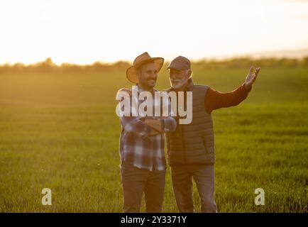Ein zufriedener Seniorenbauer umarmt den jüngeren Mann im Weizenfeld im Frühling bei Sonnenuntergang Stockfoto