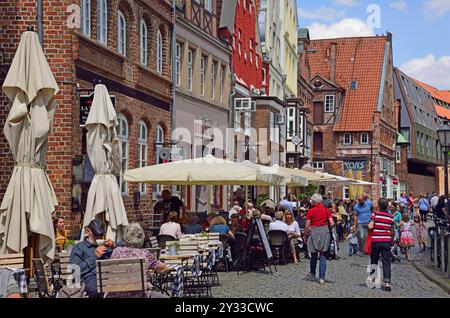 Europa, Deutschland, Niedersachsen, Metropolregion Hamburg, Lüneburg, Stintfang, Stockfoto