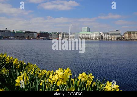 Deutschland, Hamburg, City, Blick über die Binnenalster zum Neuen Jungfernstieg, Osterglocken, Fontäne, Stockfoto