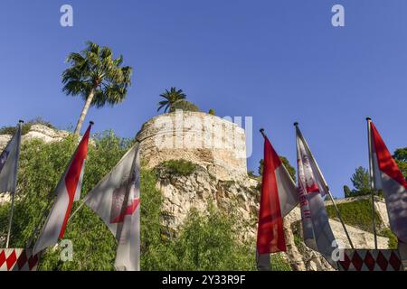 Flacher Blick auf den Prinzenpalast auf dem Felsen mit Fahnen, die den hundertsten Geburtstag von Prinz Rainier III. Feiern, im Vordergrund, Monaco Stockfoto