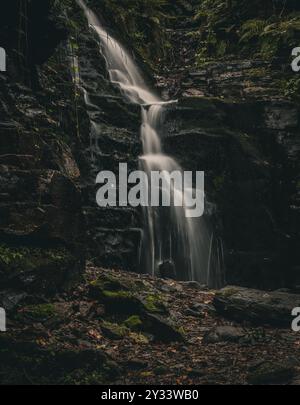 Ein ruhiger Wasserfall, der eine felsige Klippe hinunterstürzt, umgeben von üppigem Grün in einer Waldlandschaft Stockfoto