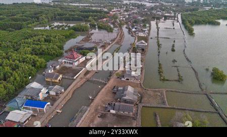 Klimawandel: Sinkendes Dorf Beting, Bekasi Regency, Java, Indonesien, Asien Stockfoto