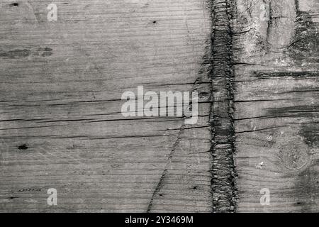 Altes abgenutztes Holzbrett. Holzstruktur Nahaufnahme. Schwarz-weiß strukturierter natürlicher Hintergrund. Stockfoto