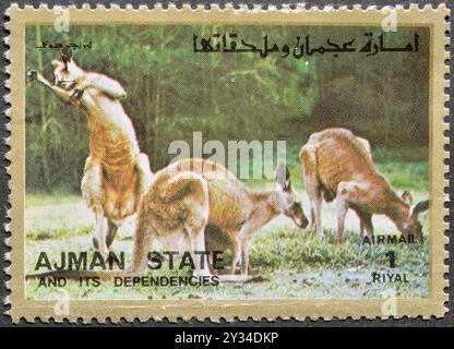 Abgestempelte Briefmarke von Ajman, die Känguru zeigt, um 1973. Stockfoto