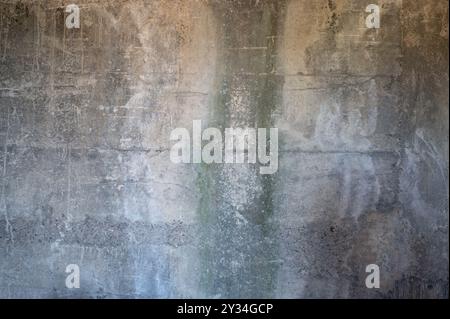 Betonwand mit pilzgrüner Spur aus der Nähe Stockfoto