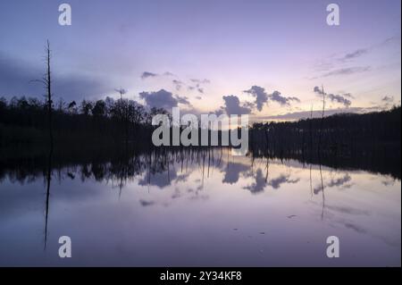 Bergsenkungsgebiet, im Winter, bei Sonnenuntergang, mit Reflexion, Bottrop, Ruhrgebiet, Nordrhein-Westfalen, Deutschland, Europa Stockfoto