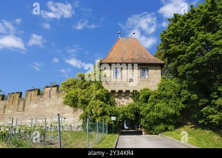 Schloss Hohenbeilstein, Bergschloss Beilstein, Landkreis Heilbronn, Baden-Württemberg, Deutschland, Europa Stockfoto