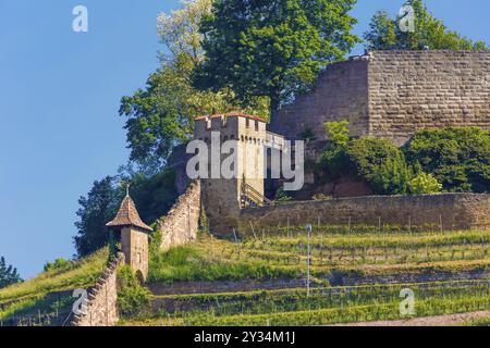 Schloss Hohenbeilstein, Bergschloss Beilstein, Landkreis Heilbronn, Baden-Württemberg, Deutschland, Europa Stockfoto