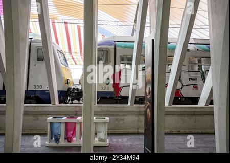 Bahnhof Lüttich-Guillemins, Architekt Santiago Calatrava, farbenfrohes Dach, Bahnprofil in der Nähe, Mülltonnen mit bunten Müllsäcken i Stockfoto