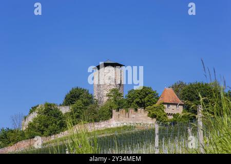 Schloss Hohenbeilstein, Bergschloss Beilstein, Landkreis Heilbronn, Baden-Württemberg, Deutschland, Europa Stockfoto