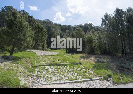 Ein gepflasterter Pfad führt durch einen grünen Wald unter blauem Himmel, alte Römerstraße, in der Nähe von Cuevas de Valle, Sierra de Gredos, Avila, Avila, Castilla y Leon Stockfoto