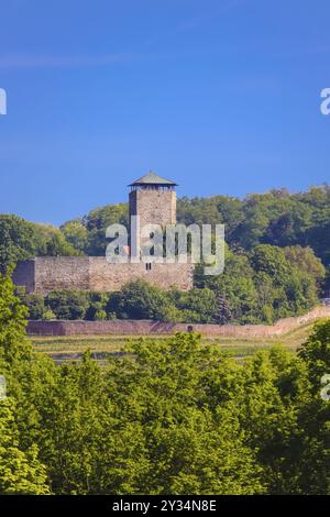 Schloss Hohenbeilstein, Bergschloss Beilstein, Landkreis Heilbronn, Baden-Württemberg, Deutschland, Europa Stockfoto