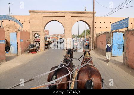 Mit Pferdekutschen erkunden Sie die Stadt Marrakesch, ein Touristenziel in Marokko. Marrakesch, Region Marrakesch-Safi, Marokko, Nordafrika, M Stockfoto