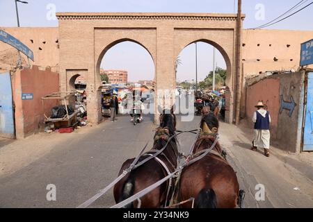 Mit Pferdekutschen erkunden Sie die Stadt Marrakesch, ein Touristenziel in Marokko. Marrakesch, Region Marrakesch-Safi, Marokko, Nordafrika, M Stockfoto