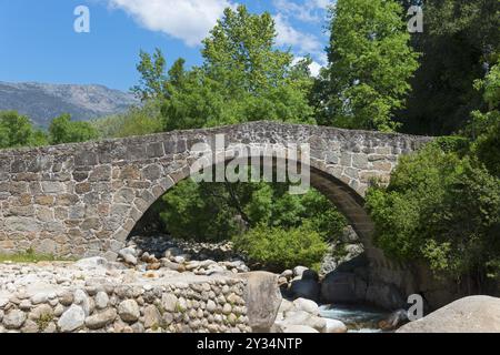 Eine alte Steinbrücke über einen Fluss in einer bewaldeten, bergigen Landschaft, beleuchtet von der Sonne, Puente Parral, römische Brücke Parral, Garganta Jaranda Stockfoto