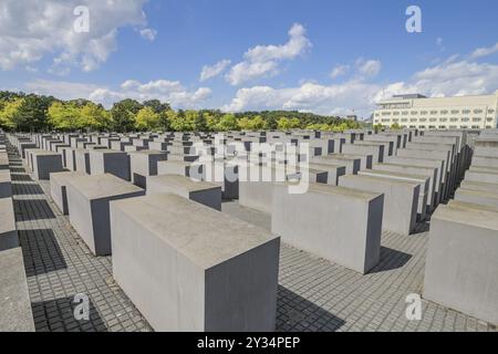 Holocaust Memorial, Stelenfeld, Mitte, Berlin, Deutschland, Europa Stockfoto